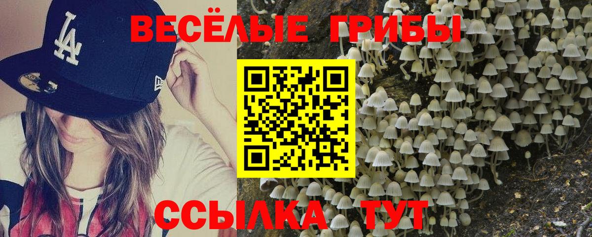 Псилоцибиновые грибы ЛСД  Псилоцибиновые грибы GOLDEN TEACHER  Кулебаки  Вход с VPN 